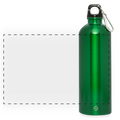 Panorama Trinkflasche mit Karabiner 750 ml - Kelly Green